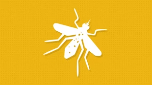 Malaria Clinical Guide
