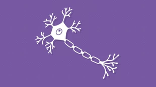 Neurology Diseases Clinical Guide