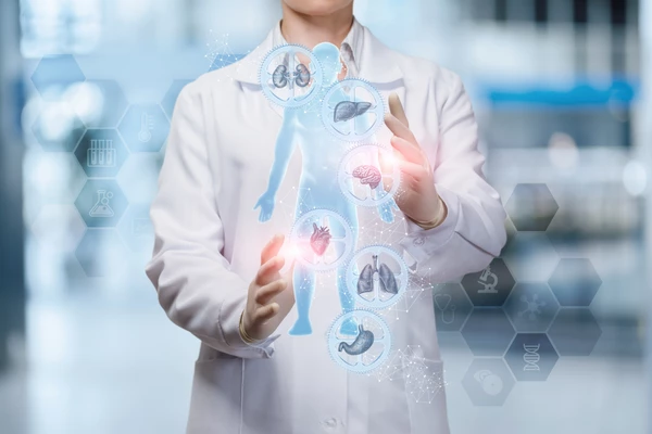 A doctor examining a 3D image depicting various internal medicine subspecialties