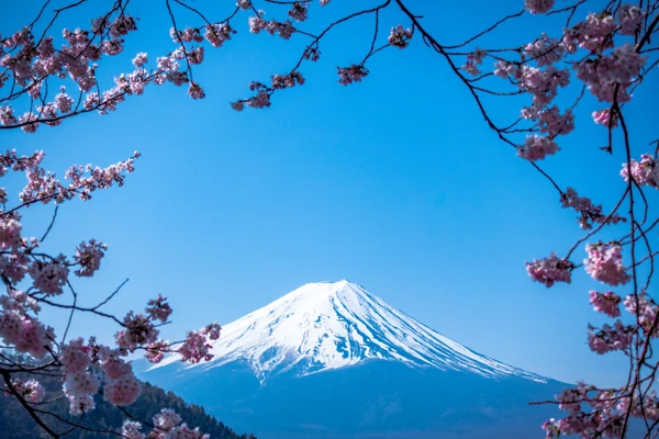 ikigai and medicine ikigai and medicine